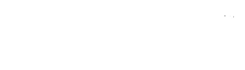 BlackTrom Logo